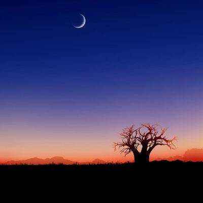 澳门4949资料免费大全app下载